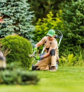 Gardening | AMCO Home Care Services