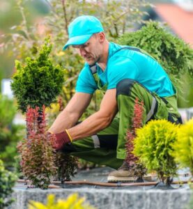 gardening outside | AMCO Home Care